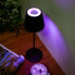 Фото #5 товара LED-Tischlampe Lea