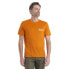 ICEBREAKER 150 Tech Lite II Mountain Merino short sleeve T-shirt
