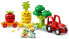LEGO 10982 DUPLO My First Fruit and Vegetable Tractor, Sorting and Stacking Toy for Babies and Toddlers Aged 1 and 10981 DUPLO My First Growing Carrot