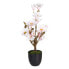 Фото #1 товара Декоративное растение BB Home Magnolia 30 x 30 x 60 см