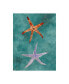 Фото #1 товара Alicia Ludwig Twin Starfish III Canvas Art - 20" x 25"