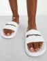 Фото #8 товара Champion Legacy Daytona sliders in white