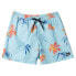 Фото #3 товара QUIKSILVER Mix Vly 14´´ Swimming Shorts