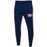 Фото #1 товара Tommy Hilfiger DM0DM15031C87