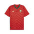 Puma Frmf Wwc Home VNeck Replica Jersey Mens Red 77464501