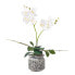Фото #2 товара Künstliche weiß-gelbe Phalaenopsis
