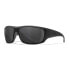 ფოტო #1 პროდუქტის WILEY X Omega Polarized Sunglasses