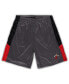 Фото #1 товара Men's Gray Miami Heat Big and Tall Shorts