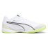 PUMA Ibero IV football boots