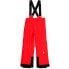 Фото #2 товара SPYDER Propulsion Pants