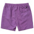 MYSTIC Brand Swimming Shorts