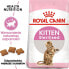 Royal Canin Kitten Sterilised karma sucha dla kociąt od 4 do 12 miesiąca życia, sterylizowanych 2 kg