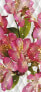 Фото #1 товара Poster Blumen