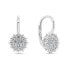 Фото #1 товара Charming silver earrings with zircons EA253W