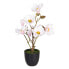 Фото #1 товара Декоративное растение полиэстер полиэтилен Железо 25 x 25 x 49 cm Magnolia