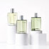 Фото #6 товара HERMÈS H24 Herbes Vives