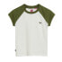 Olive Khaki Green / Off White