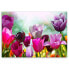 Leinwandbilder Tulpen Lila Blumen Natur