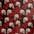 Tapete Skulls and Roses