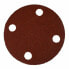 Фото #1 товара Einbenstock Abrasive Disc с EWS 400 P 24/3 ПК.