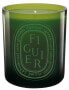 Фото #1 товара Green Candle Figuier