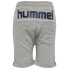 Фото #3 товара HUMMEL Flicker Shorts