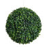 Фото #2 товара Kugel Buxus