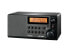 Фото #1 товара Радиоприемник цифровой Sangean Electronics DDR-31 - Персональный - DAB+,FM - 87.5 - 108 МГц - CT,PS,PTY,RT - 5 В