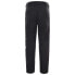 Фото #2 товара THE NORTH FACE Chakal Pants