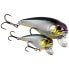 Фото #10 товара WESTIN Fat Bite crankbait 24g 80 mm