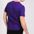 Champion 字母复古运动风草写Logo印花短袖T恤 美版 男女同款 紫色 / Футболка Champion GT23H-PURPLE T-Shirt