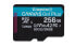 Kingston Canvas Go! Plus - 256 GB - MicroSD - Class 10 - UHS-I - 170 MB/s - 90 MB/s - высокоскоростная карта памяти - фото #3