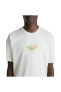 Фото #46 товара Pineapple Skull Ss Tee Erkek Beyaz T-shirt