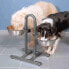 ფოტო #2 პროდუქტის TRIXIE Dog Bar Curve Bowl 24 cm