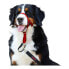 Фото #4 товара Ошейник для дрессировки собак Company of Animals Halti Намордник (40-54 cm)