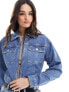 Tommy Jeans Clare cropped zipped denim jacket in mid wash 2XS - фото #1