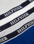 Tommy Hilfiger monotype 3 pack trunks in multi