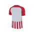 Фото #2 товара Nike Striped Division Iii Jersey
