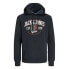 Фото #1 товара JACK & JONES Logo 2 Plus Size hoodie