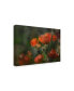 Фото #2 товара Gilbert Claes Pops Floral Romance Canvas Art - 20" x 25"
