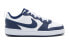 Кроссовки Nike Court Borough Low 2 GS Белые BQ5448-107