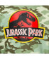 Boys Dinosaur Jurassic Park T-Rex Fleece Pullover Hoodie and Pants Outfit Set to