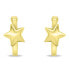 Decent gold plated earrings Hvězda EA784Y