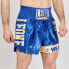 Фото #4 товара LEONE1947 DNA Thaibox Trunks