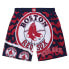 Фото #1 товара MITCHELL & NESS MLB JUMBOTRON 2.0 SUBLIMATED SHORTS BOSTON RED SOX