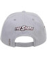 ფოტო #3 პროდუქტის Men's Gray Maryland Eastern Shore Hawks Evergreen Mascot Snapback Hat