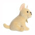 AURORA PLUSH Aurora Miyoni Bull Dog teddy