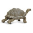 Фото #2 товара Фигурка черепахи SAFARI LTD Tortoise 2, Incredible Creatures®