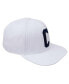 ფოტო #4 პროდუქტის Men's White Coppin State Eagles Primary Logo Evergreen Wool Snapback Hat