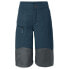 Фото #1 товара VAUDE Caprea Antimos Shorts Pants